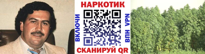 Наркота Цивильск Псилоцибиновые грибы ГАШИШ МАРИХУАНА КЕТАМИН Alpha-PVP COCAIN