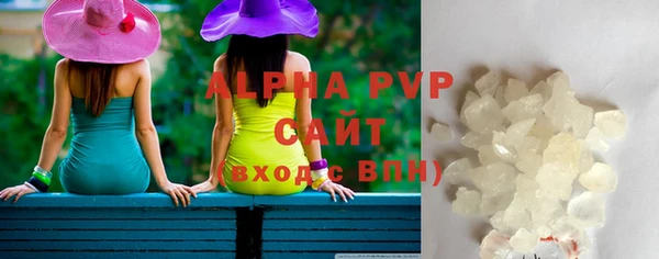 трава Белокуриха