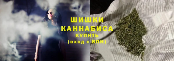 трава Белокуриха