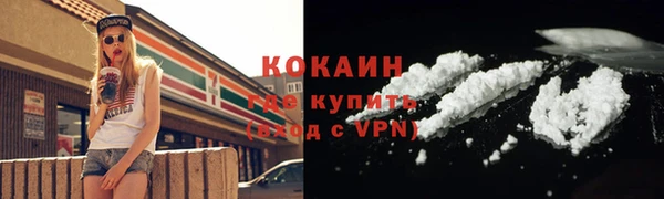 трава Белокуриха