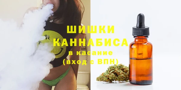 ГАЛЛЮЦИНОГЕННЫЕ ГРИБЫ Белоозёрский