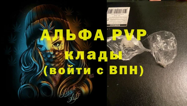 трава Белокуриха