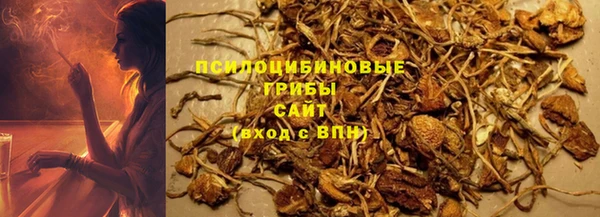 бошки Беломорск
