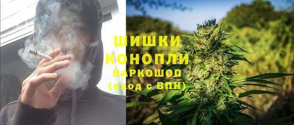 ГАЛЛЮЦИНОГЕННЫЕ ГРИБЫ Белоозёрский