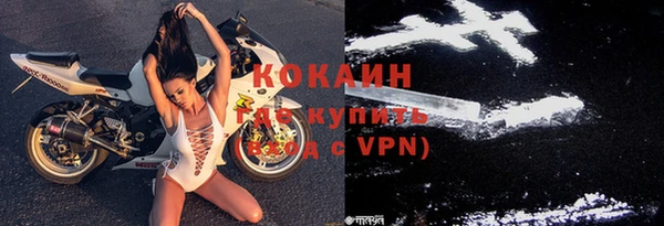 трава Белокуриха