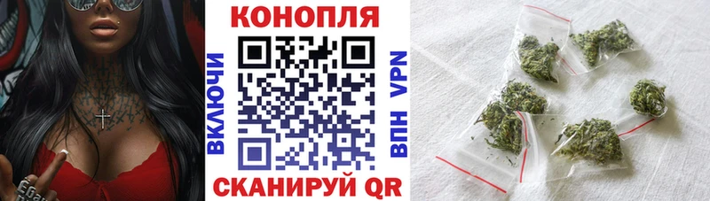 Бошки Шишки планчик Цивильск
